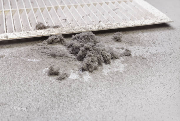 Best Home Air Vent Cleaning  in Cutler, CA